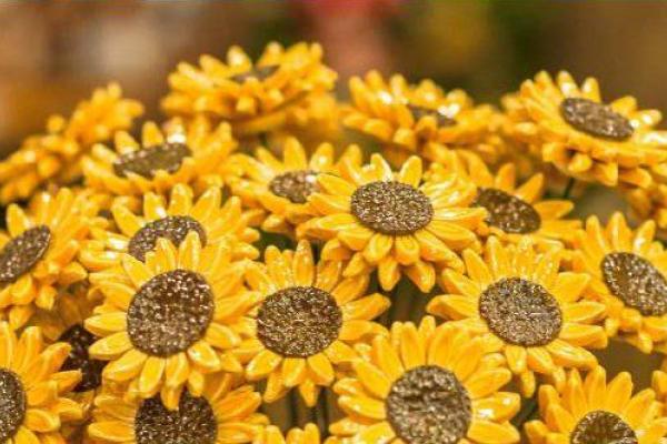 Ceramic Flowers