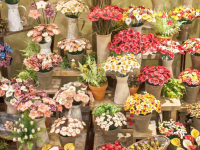 Ceramic Flowers