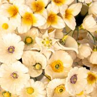 High-quality ceramic flowers for wholesale