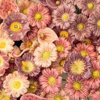 Handmade ceramic flowers on the Hungarian wholesale market