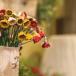 Ceramic Flowers